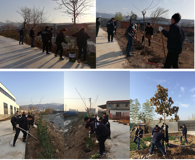 寶雞捷銳“迎春風，綠家園”植樹節(jié)(圖1)